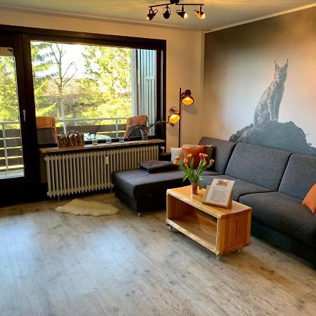 Luchsbutze Apartment Sankt Andreasberg Exterior photo