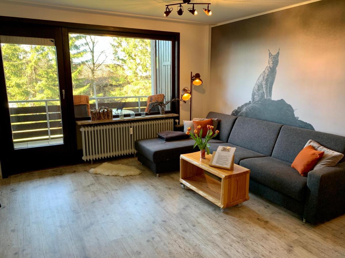 Luchsbutze Apartment Sankt Andreasberg Exterior photo